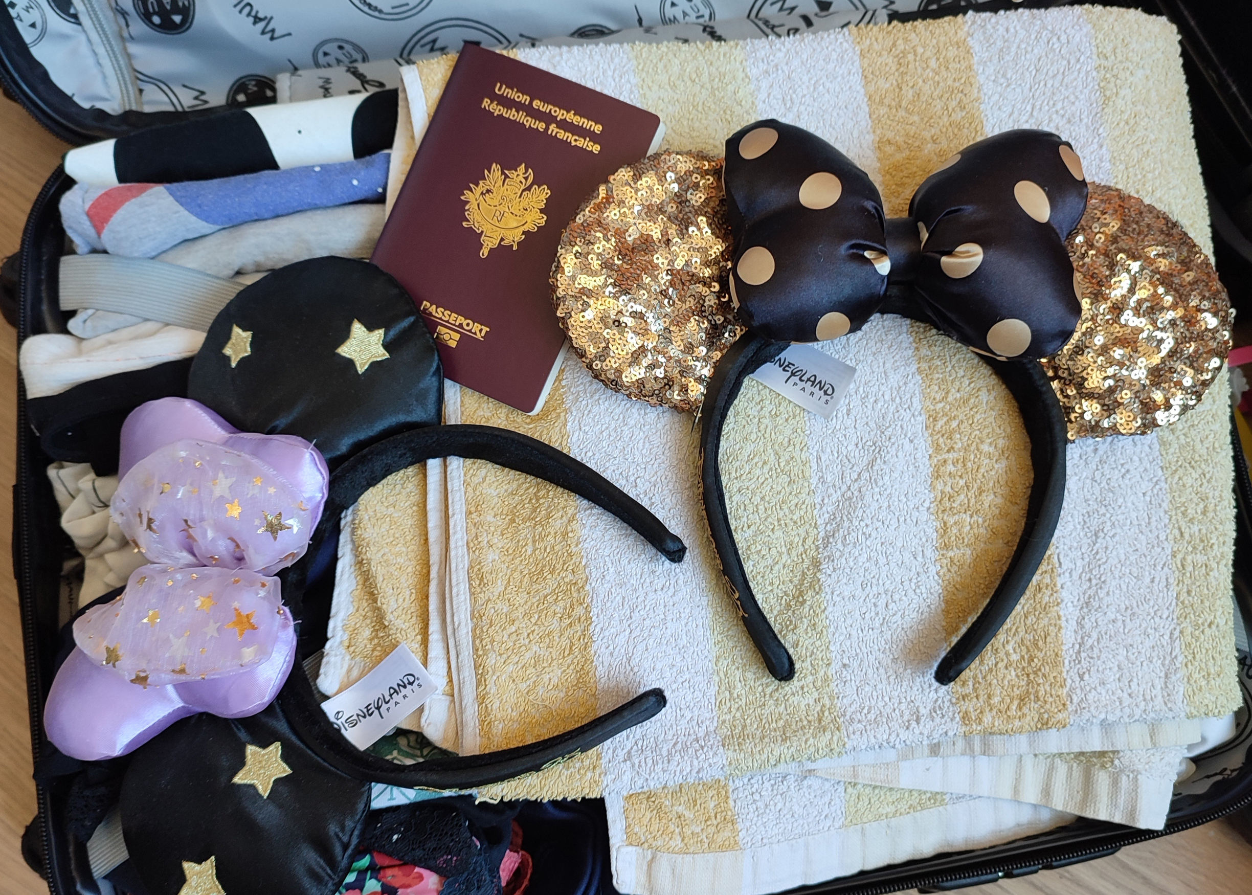 Voyage aux Etats-Unis et à Walt Disney World (valise, passeport, oreilles Disney ears)